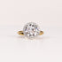 LAB-GROWN DIAMOND ROUND BRILLIANT-CUT HALO ENGAGEMENT RING image 0